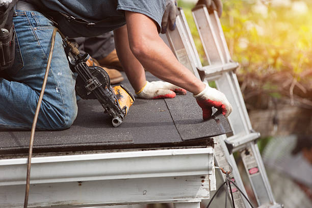 Best Gutter Installation and Roofing  in Clayton, GA